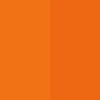 09_CARROT