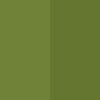 35_OLIVE