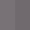 43_FOSSIL