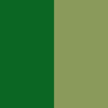 59_FOREST_MOSS